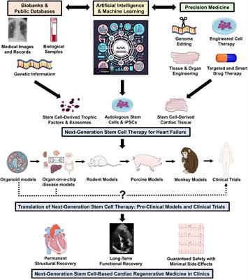 Stem cell therapy for heart failure in the clinics: new perspectives in the era of precision medicine and artificial intelligence